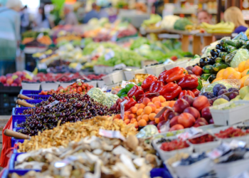 Czy afrykański pomór świń w Niemczech spowoduje, że ceny żywności będą rosły? Tak ocenia KZP - Producentów Trzody Chlewnej.