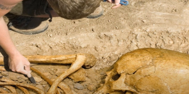 Odkryte w 1930 roku cmentarzysko gigantów w Zachodniej Wirginii spowodowało że profesor Ernest Sutton chciał rozgłosić światu to znalezisko