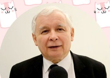 Piątka Kaczyńskiego zwana Piątką dla zwierząt łamie Konstytucję. Tak uważa Piotr Kłosiński z Polskiego Porozumienia Kynologicznego i inni kynolodzy.