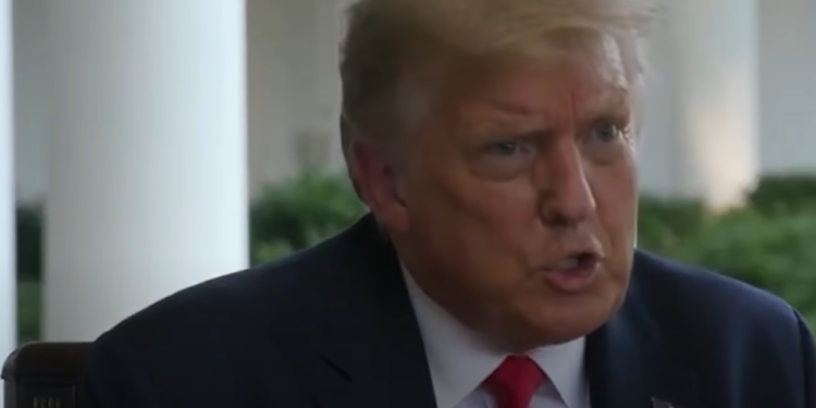 Wybory prezydenckie w USA: Donald Trump skomentował słowa kontrkandydata o Polakach, Joe Biden porównał nasz kraj do Białorusi.