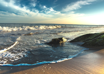 Naukowcy ostrzegają, że Ocean Atlantycki jest najcieplejszy od 3000 lat, należy przygotować się na burze i wymieranie gatunków.