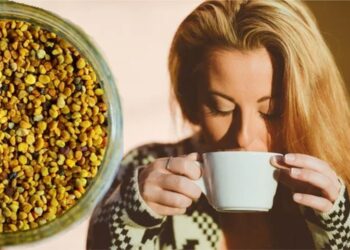 Działanie i zastosowanie miodu są dobrze znane, jednak mało kto orientuje się jak zbawienne właściwości ma pyłek pszczeli.