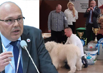 Hodowcy psów rasowych i kynolodzy nie mają wątpliwości, powrót do Piątki dla zwierząt to być albo nie być dla posiadaczy psów rasowych.