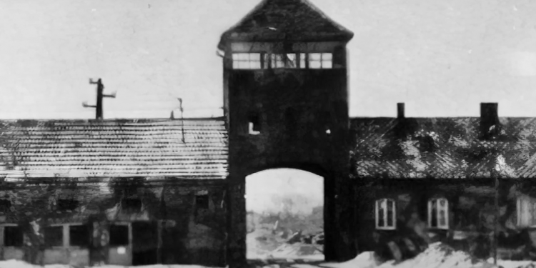 Miłość nie wybiera czasu i miejsca, mimo, że trwała II wojna światowa, a oni znajdowali się w obozie koncentracyjnym w Auschwitz.