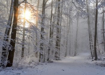 Prognoza pogody na weekend w Polsce: Wygląda na to, że zima powoli się rozpędza, już w najbliższych dniach spadnie śnieg, a my wiemy gdzie
