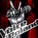 Krystian Ochman zdobył serca widzów w programie "The Voice of Poland" gdzie należał do grupy która prowadził Michał Szpak