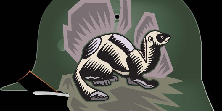 Niesmaczne! Niemieccy eksperci od gazowania mają wytyczne dla polskich hodowców…