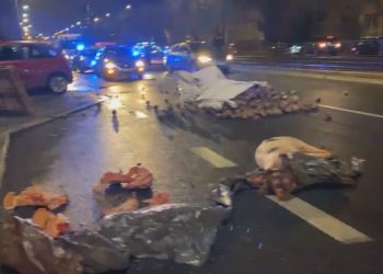 Protest Rolników: Agrounia podjechała pod dom Kaczyńskiego, wyrzucili na ulicę jaja, ziemniaki, kapustę oraz martwą świnię