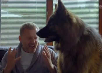 Krystian Wieczorek i Magdalena Walach odchodzą z serialu Komisarz Alex w TVP? O takiej możliwości rozpisują się największe plotkarskie media