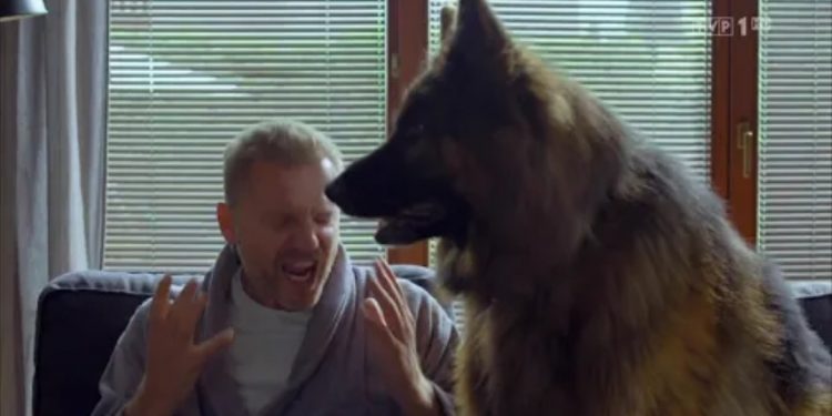 Krystian Wieczorek i Magdalena Walach odchodzą z serialu Komisarz Alex w TVP? O takiej możliwości rozpisują się największe plotkarskie media