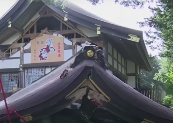 W sobotnie popołudnie w prefekturze Fukushima w Japonii odnotowano silne trzęsienie ziemi o sile 7,1 w skali Richtera. 50 osób jest rannych