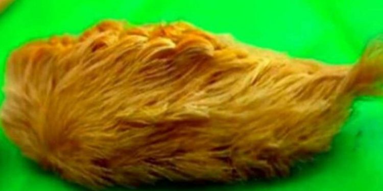 Matka uratowała swoje dziecko! Tylko dzięki niej dziecka nie spotkała krzywda