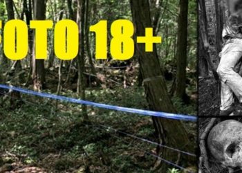 Ludzie boją się tam chodzić. Najgorsze miejsce na ziemi, las samobójców (zdjęcia 18+)