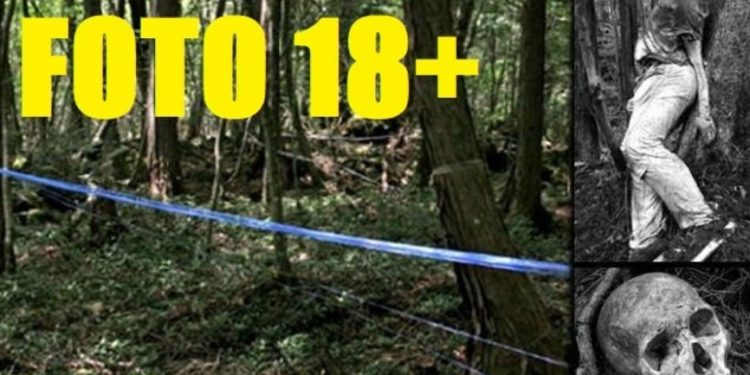 Ludzie boją się tam chodzić. Najgorsze miejsce na ziemi, las samobójców (zdjęcia 18+)