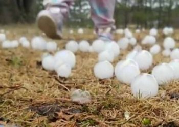 Zdjęcia i film tajemniczych kul szybko obiegły sieć. Niesamowite zjawisko