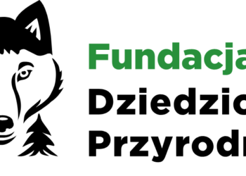 Odwieczny wróg Lasów Państwowych potwierdza: „Gospodarka leśna nie była rabunkowa”