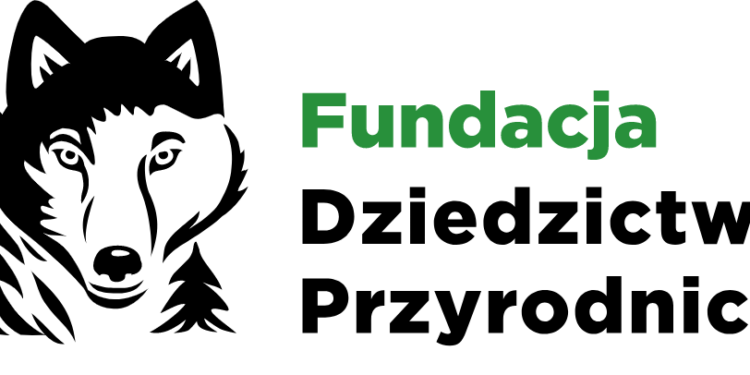 Odwieczny wróg Lasów Państwowych potwierdza: „Gospodarka leśna nie była rabunkowa”