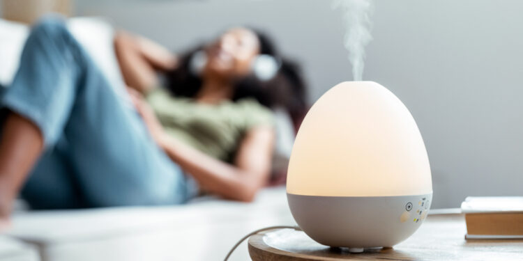 Nawilżacze powietrza – dlaczego warto z nich korzystać?